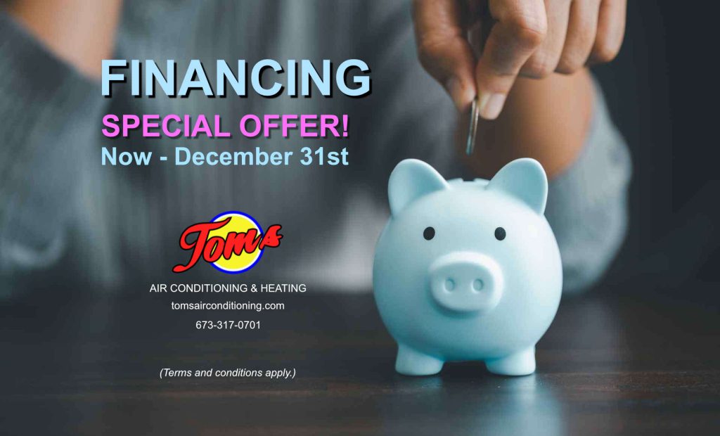 Piggy bank showing financial savings during Tom's Special FInancing offer.